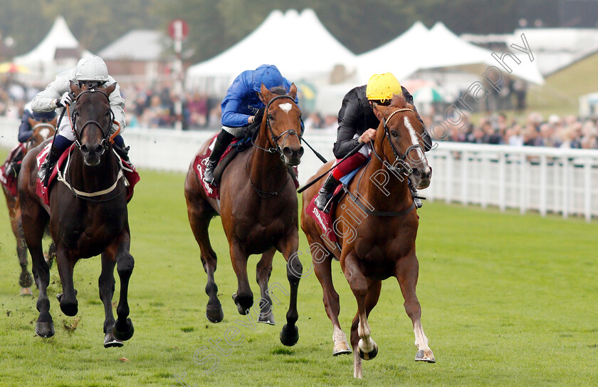 Stradivarius-0004 
 STRADIVARIUS (Frankie Dettori) beats DEE EX BEE (left) and CROSS COUNTER (centre) in The Qatar Goodwood Cup
Goodwood 30 Jul 2019 - Pic Steven Cargill / Racingfotos.com