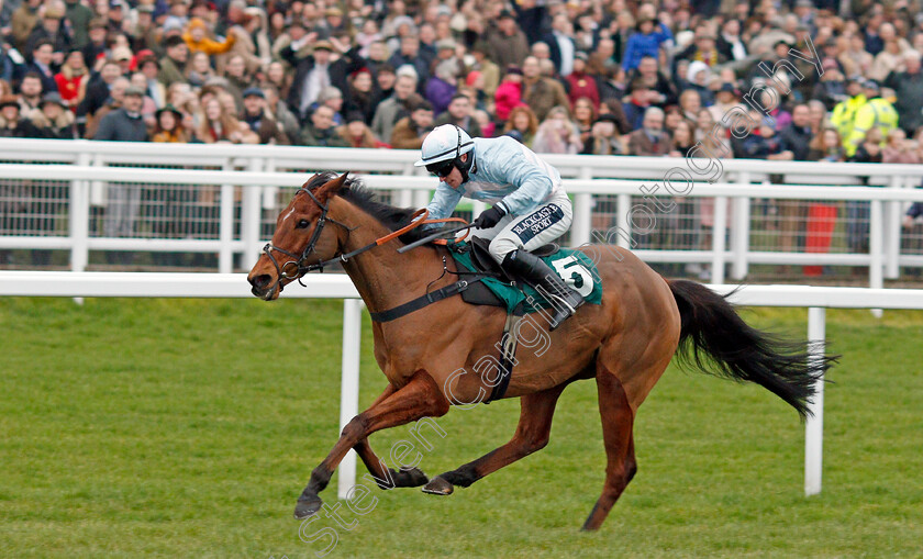 Summerville-Boy-0006 
 SUMMERVILLE BOY (Jonathan Burke) wins The Dornan Engineering Relkeel Hurdle
Cheltenham 1 Jan 2020 - Pic Steven Cargill / Racingfotos.com