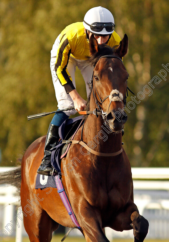 Nevendon-0002 
 NEVENDON (Callum Shepherd)
Lingfield 5 Aug 2020 - Pic Steven Cargill / Racingfotos.com