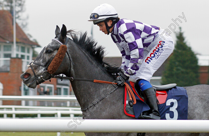 Volpone-Jelois-0003 
 VOLPONE JELOIS (Megan Nicholls) Lingfield 20 Dec 2017 - Pic Steven Cargill / Racingfotos.com