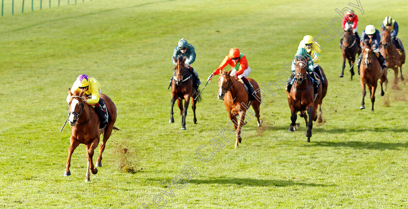 Golden-Lyra-0002 
 GOLDEN LYRA (Cieren Fallon) wins The Prestige Vehicles British EBF Fillies Novice Stakes Div2
Newmarket 30 Oct 2021 - Pic Steven Cargill / Racingfotos.com