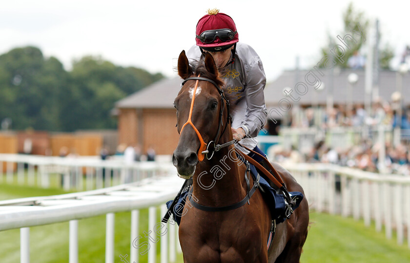 Watan-0002 
 WATAN (Oisin Murphy)
York 22 Aug 2018 - Pic Steven Cargill / Racingfotos.com