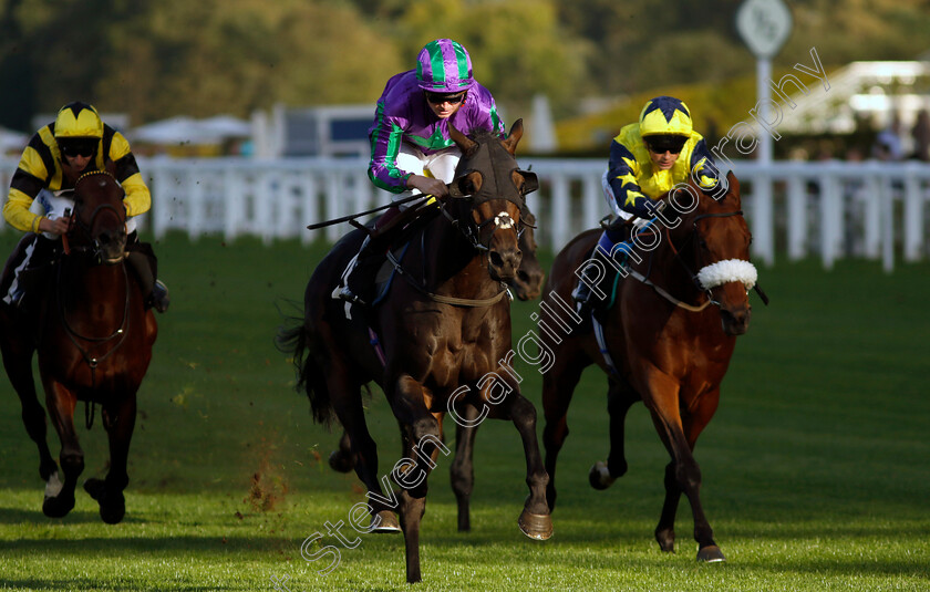 Oceanline-0002 
 OCEANLINE (Rob Hornby) wins The Inline Policy Ltd 10th Anniversary Handicap
Ascot 6 Oct 2023 - Pic Steven Cargill / Racingfotos.com