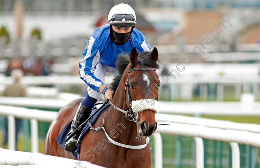 Hello-Zabeel-0001 
 HELLO ZABEEL (Kevin Stott)
Doncaster 28 Mar 2021 - Pic Steven Cargill / Racingfotos.com