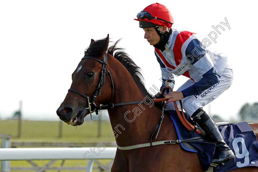 Gherkin-0001 
 GHERKIN (Luke Morris)
Bath 23 Jun 2021 - Pic Steven Cargill / Racingfotos.com