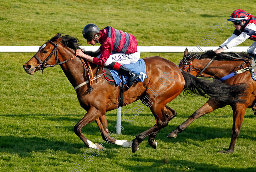 Flower-Of-Thunder-0006 
 FLOWER OF THUNDER (Adam Kirby) wins The Qualvis Print & Packaging's 40th Anniversary Handicap
Leicester 23 Apr 2022 - Pic Steven Cargill / Racingfotos.com