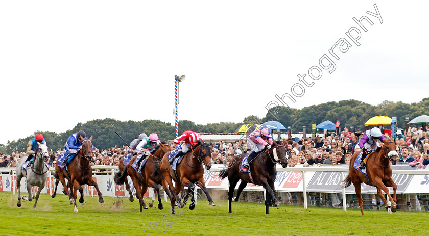 See-The-Fire-0005 
 SEE THE FIRE (Oisin Murphy) beats CHECKANDCHALLENGE (2nd right) and PHANTOM FLIGHT (centre) in The Sky Bet Strensall Stakes
York 24 Aug 2024 - Pic Steven Cargill / Racingfotos.com