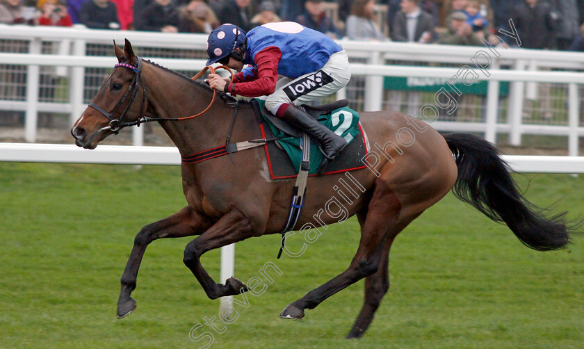 Paisley-Park-0009 
 PAISLEY PARK (Aidan Coleman) wins The galliardhomes.com Cleeve Hurdle
Cheltenham 25 Jan 2020 - Pic Steven Cargill / Racingfotos.com