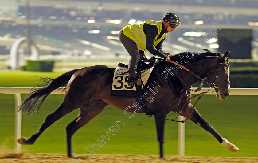 Sean-0001 
 SEAN (Saffie Osborne) training at the Dubai Racing Carnival
Meydan 1 Mar 2024 - Pic Steven Cargill / Racingfotos.com