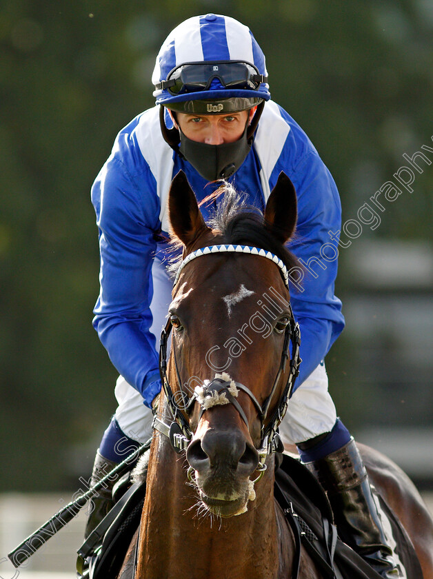 Jash-0002 
 JASH (Jim Crowley)
Newbury 18 Sep 2020 - Pic Steven Cargill / Racingfotos.com