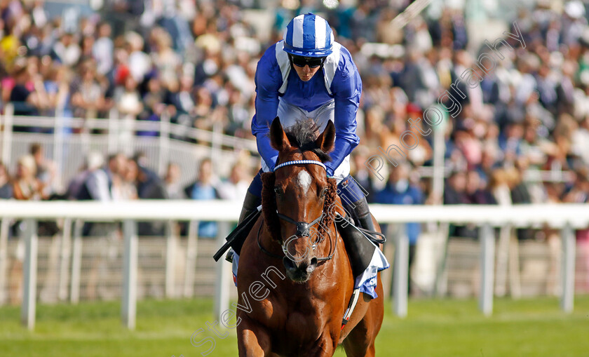 Naqeeb-0001 
 NAQEEB (Jim Crowley)
York 24 Aug 2024 - Pic Steven Cargill / Racingfotos.com