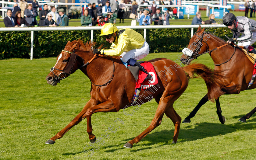 Nakheel-0002 
 NAKHEEL (Jim Crowley) wins The Betfred Park Hill Stakes
Doncaster 12 Sep 2024 - Pic Steven Cargill / Racingfotos.com