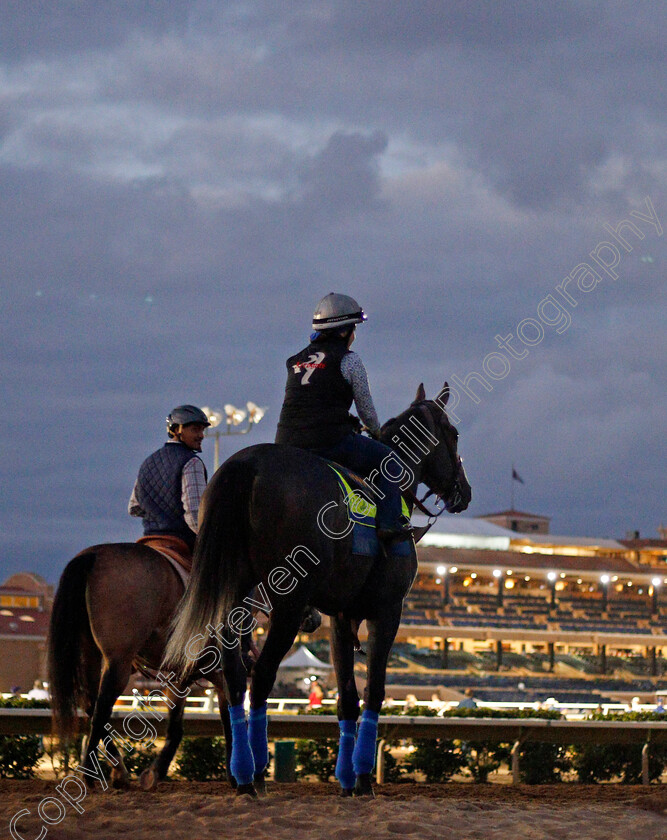 Arrogate-0002 
 ARROGATE training for The Breeders' Cup Classic at Del Mar 2 Nov 2017 - Pic Steven Cargill / Racingfotos.com