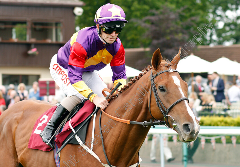 Lucky-Deal-0001 
 LUCKY DEAL (Franny Norton) before The Amix Ready Mixed Concrete Handicap
Haydock 25 May 2019 - Pic Steven Cargill / Racingfotos.com