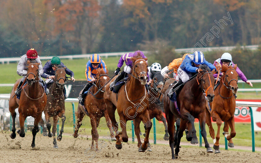 Rajaam-0001 
 RAJAAM (right, Sean Levey) beats KEY PLAYER (centre) in The 32Red.com/EBF Novice Stakes Lingfield 21 Nov 2017 - Pic Steven Cargill / Racingfotos.com