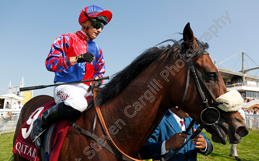 Big-Evs-0002 
 BIG EVS (Tom Marquand) winner of The King George Qatar Stakes
Goodwood 2 Aug 2024 - Pic Steven Cargill / Racingfotos.com