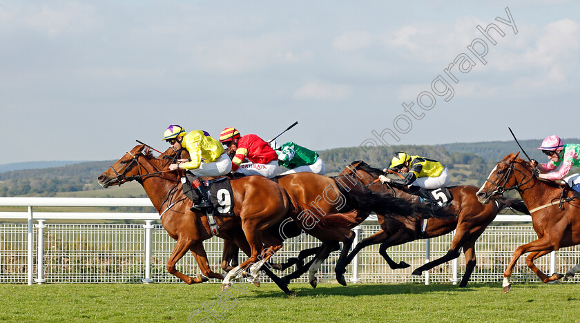 Sea-Sylph-0003 
 SEA SYLPH (Adam Farragher) wins The In Memory Of Gladys And Ronald Baldwin Fillies Handicap
Goodwood 22 Sep 2021 - Pic Steven Cargill / Racingfotos.com