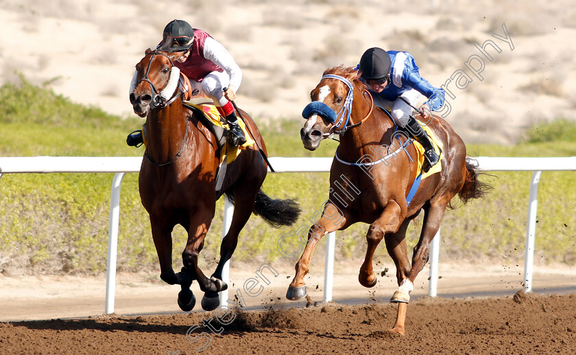 Pinter-0002 
 PINTER (left, Antonio Fresu) beats KIDD MALIBU (right) in The Al Shafar Investement LLC Handicap 
Jebel Ali 11 Jan 2019 - Pic Steven Cargill / Racingfotos.com