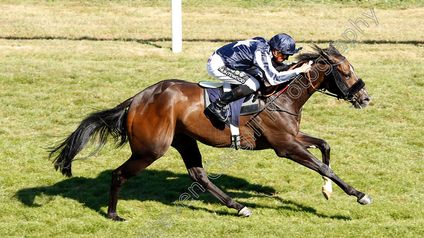 Starboy-0006 
 STARBOY (Jason Watson) wins The mintbet.com Best Odds Guaranteed Singles & Multiples Handicap
Brighton 3 Jul 2018 - Pic Steven Cargill / Racingfotos.com