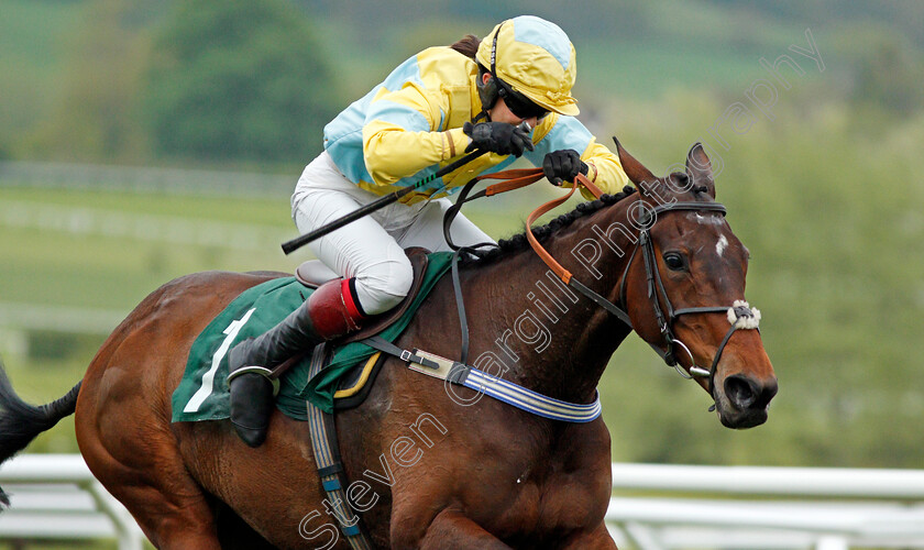 Popaway-0008 
 POPAWAY (Immy Robinson) wins The Visit cheltenham.com Mares Open Hunters Chase Cheltenham 4 May 2018 - Pic Steven Cargill / Racingfotos.com