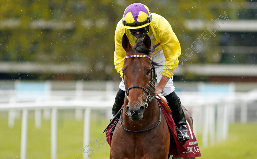 My-Oberon-0003 
 MY OBERON (Tom Marquand)
Newbury 15 May 2021 - Pic Steven Cargill / Racingfotos.com