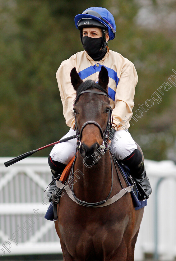 Steamy-0001 
 STEAMY (Josephine Gordon)
Lingfield 27 Jan 2021 - Pic Steven Cargill / Racingfotos.com