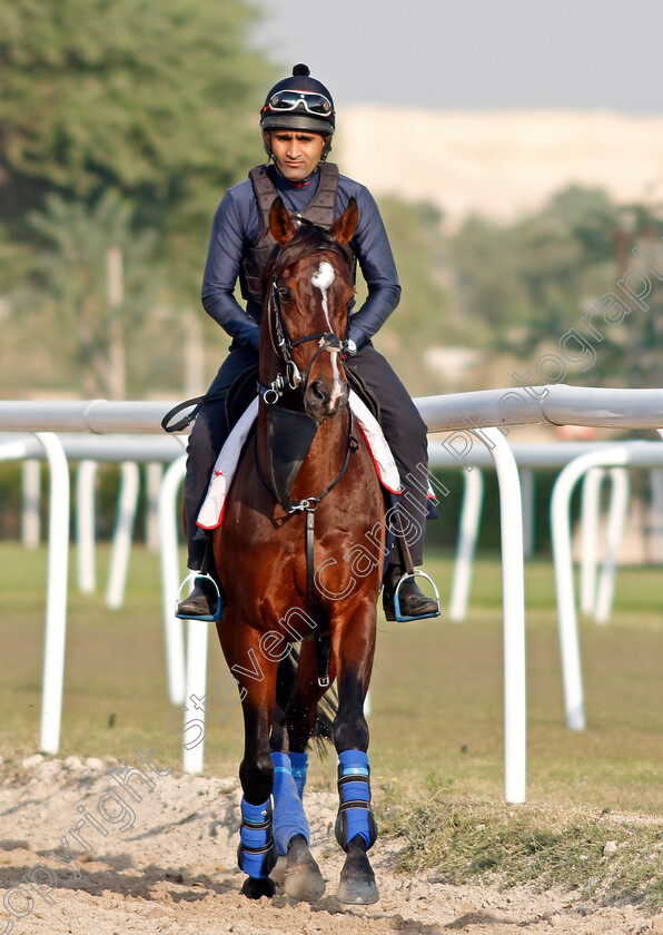 Global-Giant-0002 
 GLOBAL GIANT training for the Bahrain International Trophy
Rashid Equestrian & Horseracing Club, Bahrain, 19 Nov 2020 - Pic Steven Cargill / Racingfotos.com