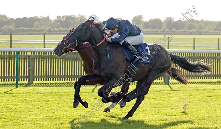 Accumulate-0001 
 ACCUMULATE (Ryan Moore) wins The Al Basti Equiworld Dubai British EBF Confined Maiden Stakes Div1
Newmarket 29 Sep 2023 - Pic Steven Cargill / Racingfotos.com