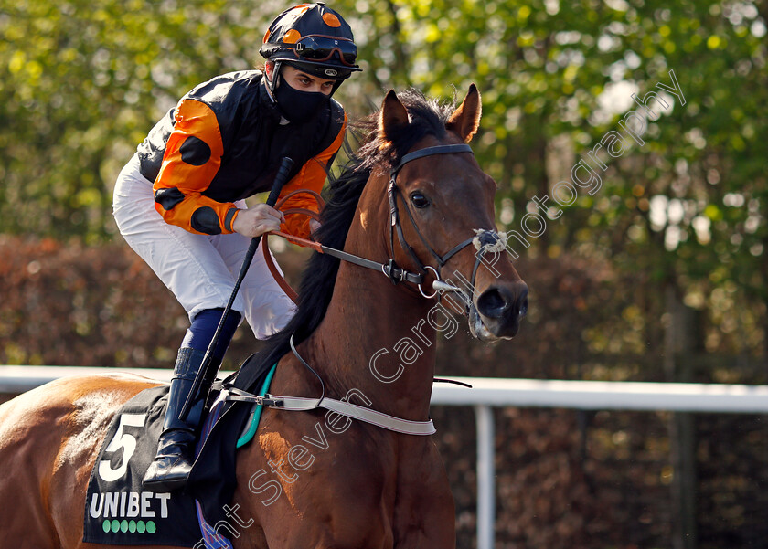 Sergeant-Tibbs-0001 
 SERGEANT TIBBS (Ryan Tate)
Kempton 5 Apr 2021 - Pic Steven Cargill / Racingfotos.com