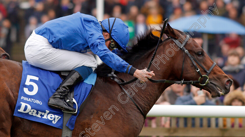 Pinatubo-0012 
 PINATUBO (William Buick) wins The Darley Dewhurst Stakes
Newmarket 12 Oct 2019 - Pic Steven Cargill / Racingfotos.com