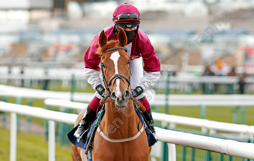 Song-Of-The-Isles-0001 
 SONG OF THE ISLES (Ellie Mackenzie)
Doncaster 28 Mar 2021 - Pic Steven Cargill / Racingfotos.com