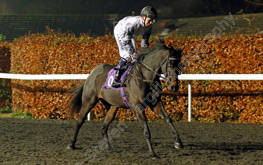 Wide-Margin-0001 
 WIDE MARGIN (Billy Loughnane)
Kempton 6 Dec 2023 - Pic Steven Cargill / Racingfotos.com