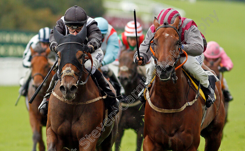 Saras-Hope-0005 
 SARAS HOPE (left, Kevin Lundie) beats PETTOCHSIDE (right) in The Ladbrokes Handicap
Goodwood 28 Aug 2020 - Pic Steven Cargill / Racingfotos.com