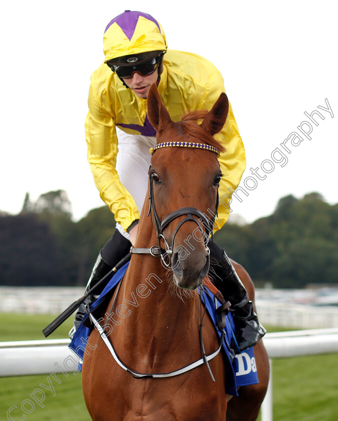 Sea-Of-Class-0001 
 SEA OF CLASS (James Doyle) before winning The Darley Yorkshire Oaks
York 23 Aug 2018 - Pic Steven Cargill / Racingfotos.com