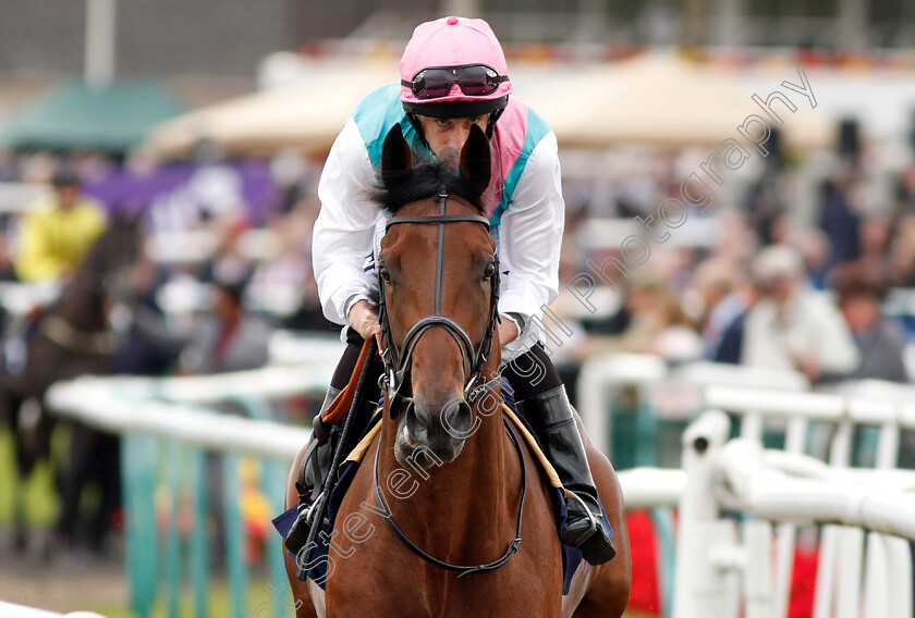 Sangarius-0001 
 SANGARIUS (Ryan Moore) before winning The Weatherbys Global Stallions App Flying Scotsman Stakes
Doncaster 14 Sep 2018 - Pic Steven Cargill / Racingfotos.com