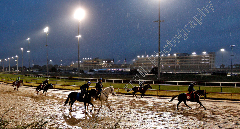 Churchill-Downs-0001 
 Horses exercising ahead of The Breeders' Cup
Churchill Downs USA 1 Nov 2018 - Pic Steven Cargill / Racingfotos.com