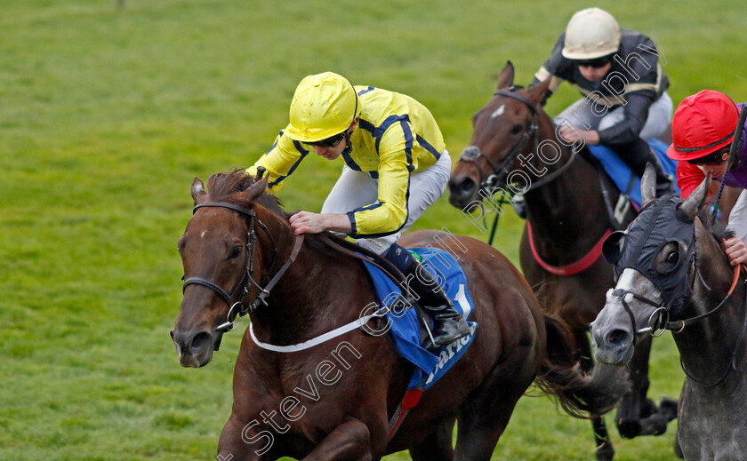 Marine-Wave-0001 
 MARINE WAVE (Oisin Orr)
Newmarket 12 Oct 2024 - Pic Steven Cargill / Racingfotos.com