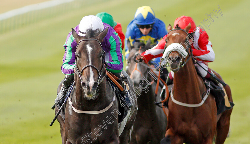 Dogged-0004 
 DOGGED (Tom Marquand) wins The First Call Traffic Management Nursery
Newmarket 26 Sep 2019 - Pic Steven Cargill / Racingfotos.com