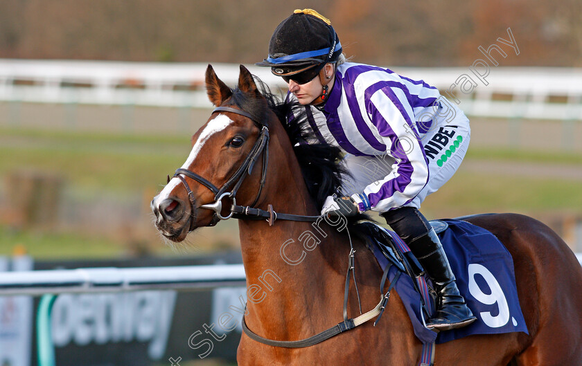 Schmoozie-0002 
 SCHMOOZIE (Josephine Gordon)
Lingfield 9 Dec 2019 - Pic Steven Cargill / Racingfotos.com