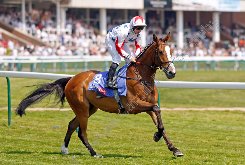 Good-Show-0001 
 GOOD SHOW (P J McDonald)
Haydock 10 Jun 2023 - Pic Steven Cargill / Racingfotos.com