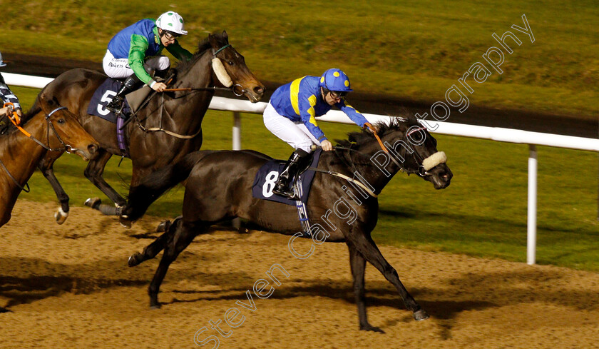 Jorvik-Prince-0001 
 JORVIK PRINCE (Tony Hamilton) wins The Betway Sprint Handicap
Wolverhampton 28 Nov 2018 - Pic Steven Cargill / Racingfotos.com