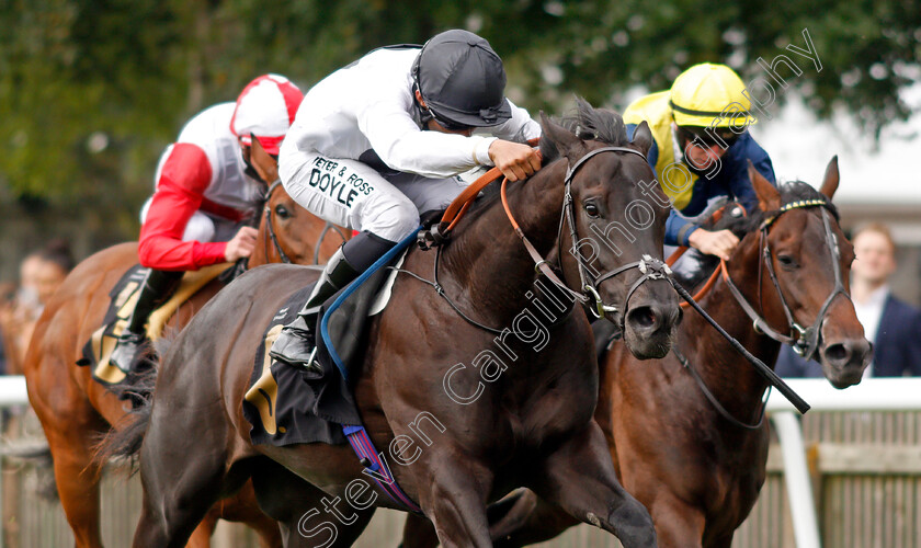 Detail-0007 
 DETAIL (Sean Levey) wins The Black Type Accountancy British EBF Restricted Novice Stakes
Newmarket 24 Jun 2021 - Pic Steven Cargill / Racingfotos.com