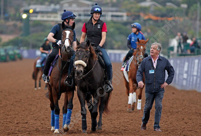 Queen s-Trust-0002 
 QUEEN'S TRUST training for The Breeders' Cup Filly and Mare Turf with Sir Michael Stoute at Del Mar USA, 1 Nov 2017 - Pic Steven Cargill / Racingfotos.com