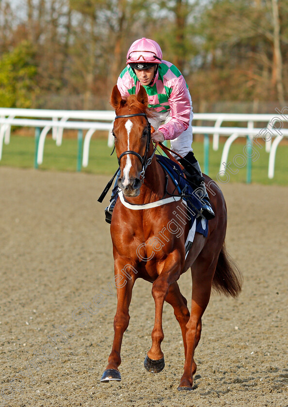 Engrossed-0001 
 ENGROSSED (Ben Curtis)
Lingfield 11 Dec 2019 - Pic Steven Cargill / Racingfotos.com