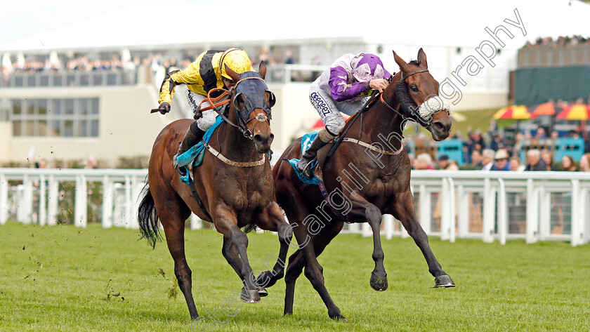 Landa-Beach-0003 
 LANDA BEACH (right, David Probert) beats DARKSIDEOFTARNSIDE (left) in The Canaccord Genuity Gordon Carter Handicap
Ascot 4 Oct 2019 - Pic Steven Cargill / Racingfotos.com