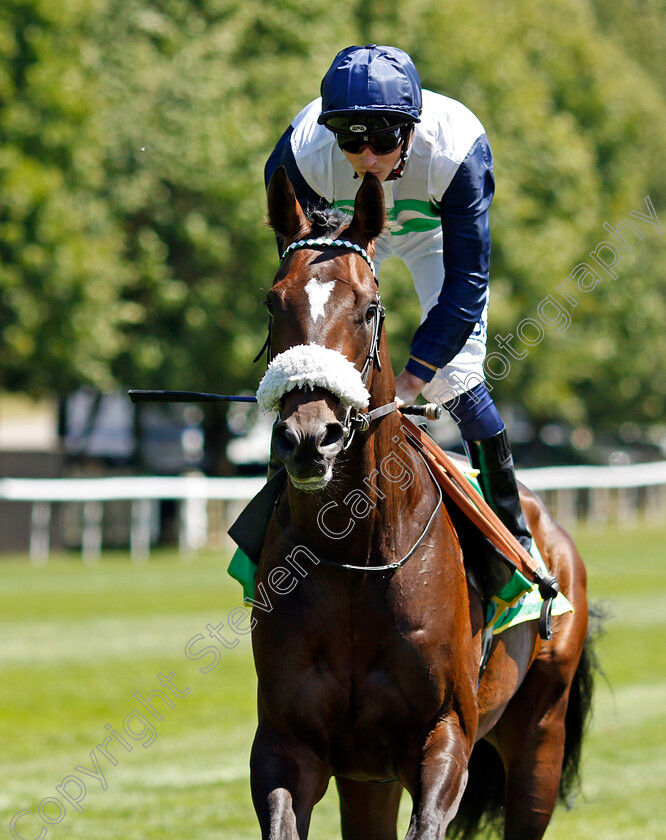 Schmilsson 
 SCHMILSSON (David Probert)
Newmarket 8 Jul 2022 - Pic Steven Cargill / Racingfotos.com