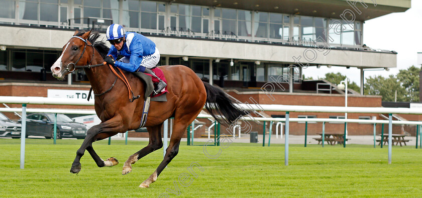 Tanmawwy-0003 
 TANMAWWY (Jim Crowley) wins The Betfair EBF Novice Stakes
Haydock 3 Sep 2020 - Pic Steven Cargill / Racingfotos.com