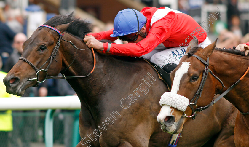 Twilight-Calls-0006 
 TWILIGHT CALLS (Adam Kirby)
Haydock 21 May 2022 - Pic Steven Cargill / Racingfotos.com