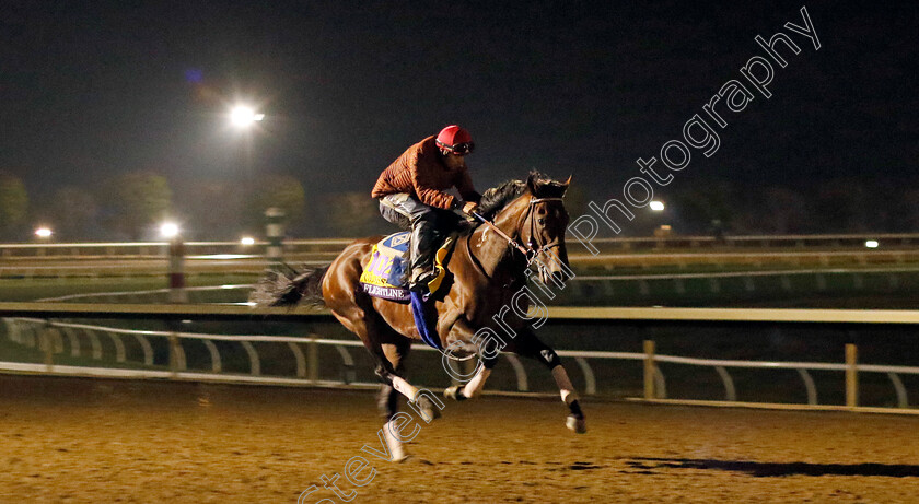 Flightline-0008 
 FLIGHTLINE training for the Breeders' Cup Classic
Keeneland USA 2 Nov 2022 - Pic Steven Cargill / Racingfotos.com