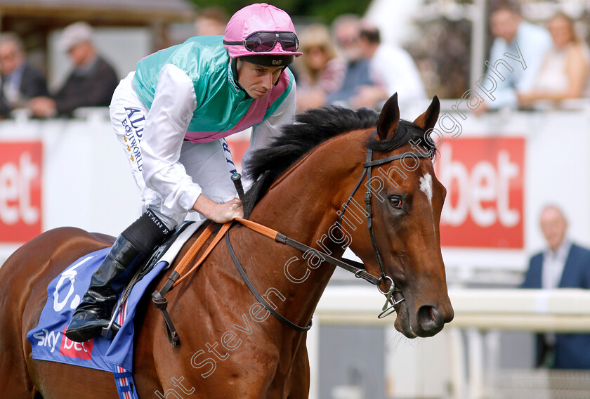 Nostrum-0002 
 NOSTRUM (Ryan Moore)
York 26 Aug 2023 - Pic Steven Cargill / Racingfotos.com